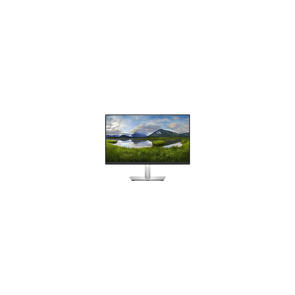 Monitor mit einem Bildschirm, der eine Berglandschaft mit See und Wiesen zeigt. Der Monitor hat einen silbernen StÃ¤nder.