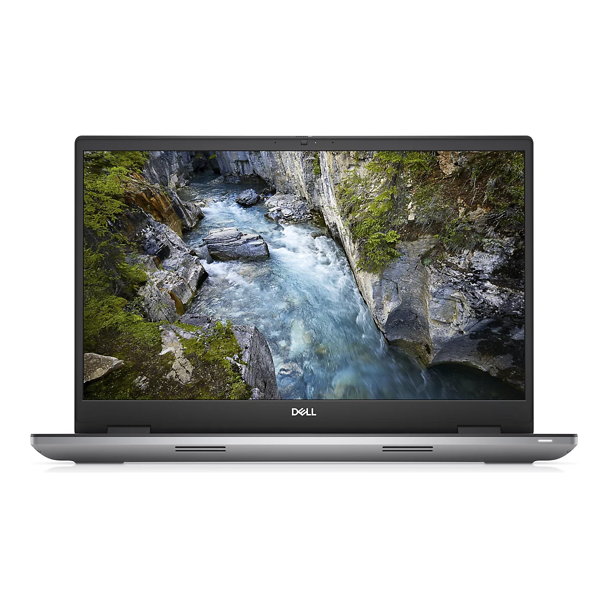 Ein grauer Laptop mit dem Bildschirm, der ein Landschaftsbild zeigt. Darunter steht DELL.