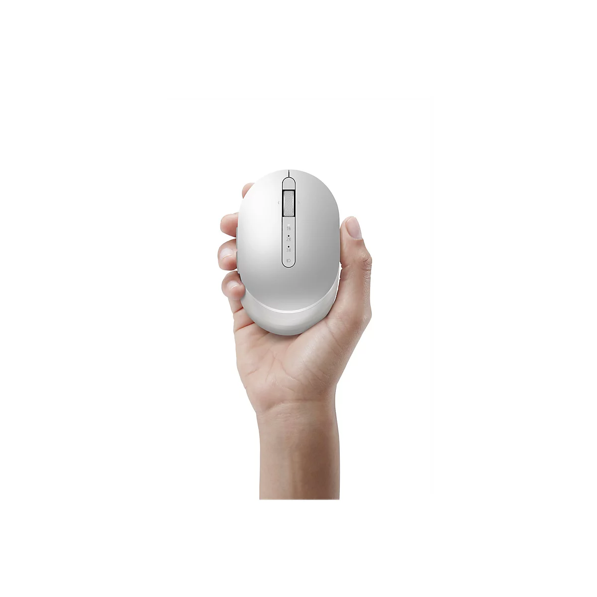 Souris grise tenue en main. Sur fond blanc.