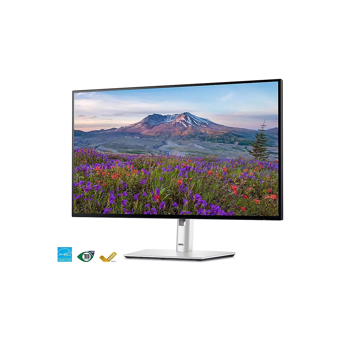 Monitor mit Berglandschaft, Standfuß, schwarzer Rahmen. Unten links sind Logos.
