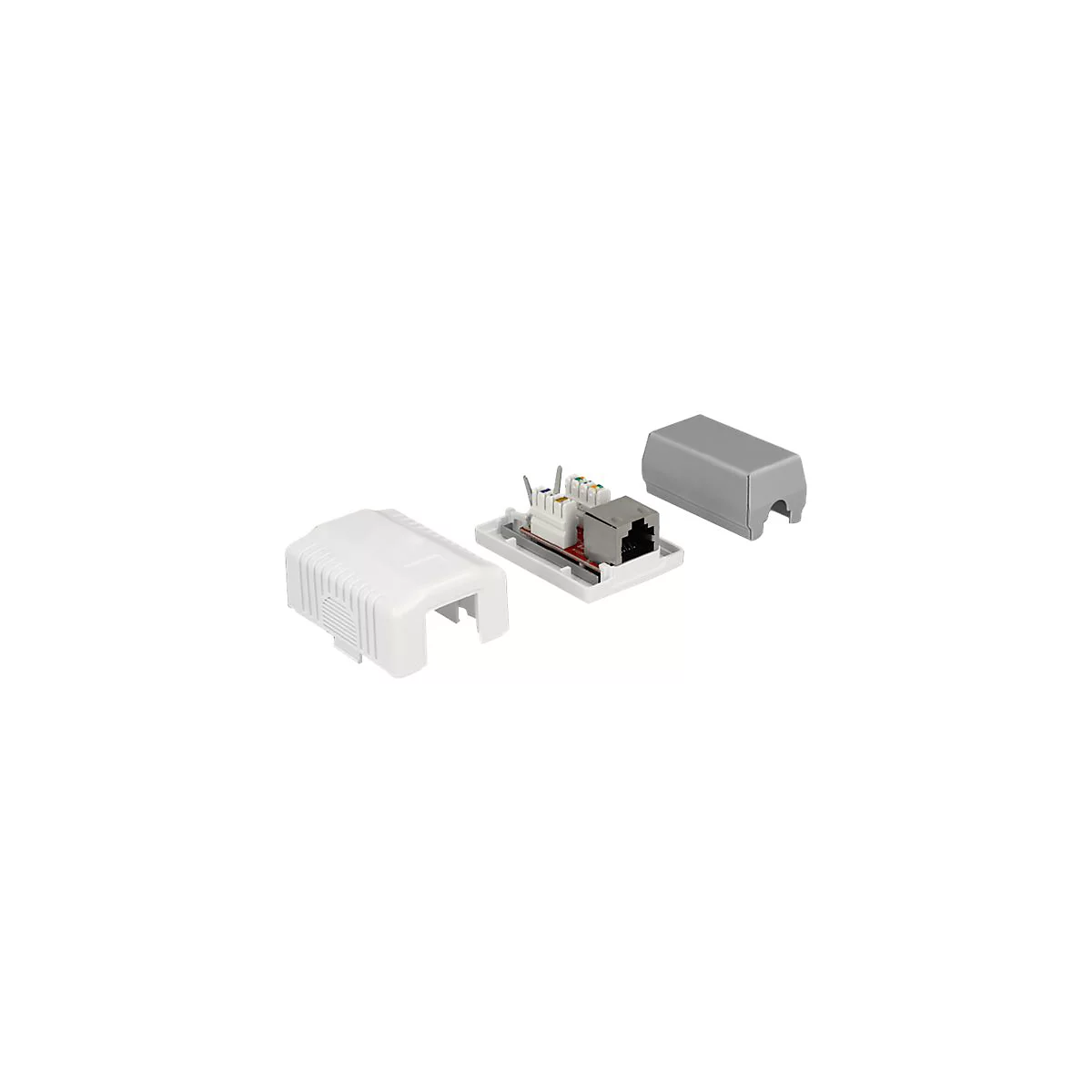 Delock - Ausgang - Oberfläche montierbar, geeignet für Wandmontage - CAT 6a - STP - RJ-45