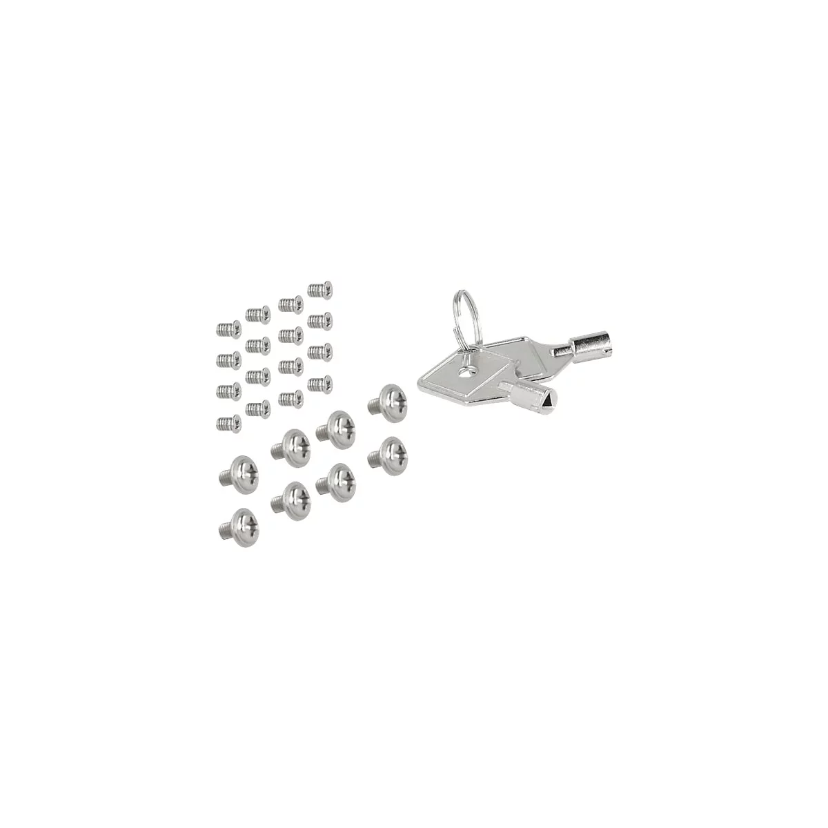 Delock - Mobiles Speicher-Rack - 2.5' (6.4 cm)