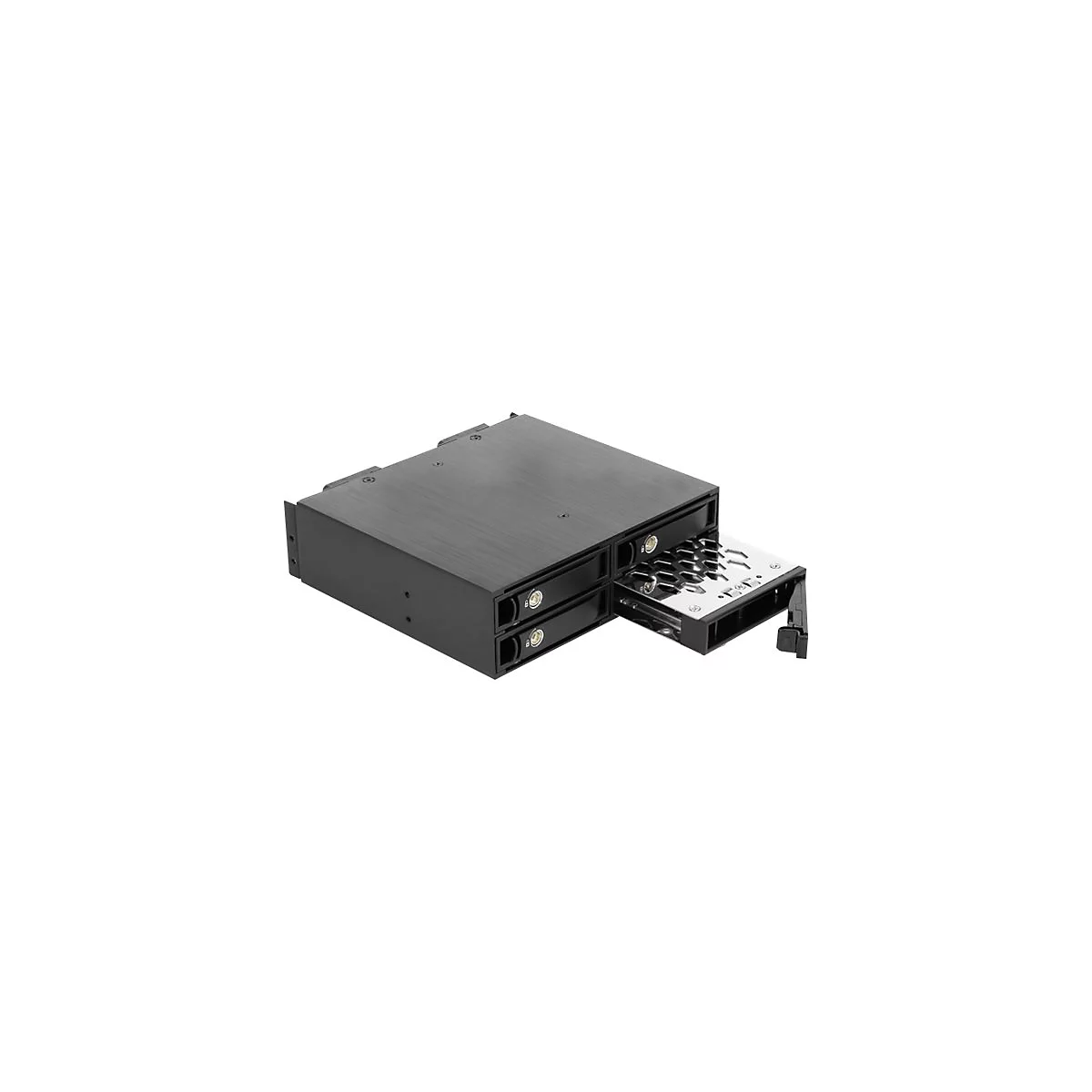 Delock - Mobiles Speicher-Rack - 2.5' (6.4 cm)