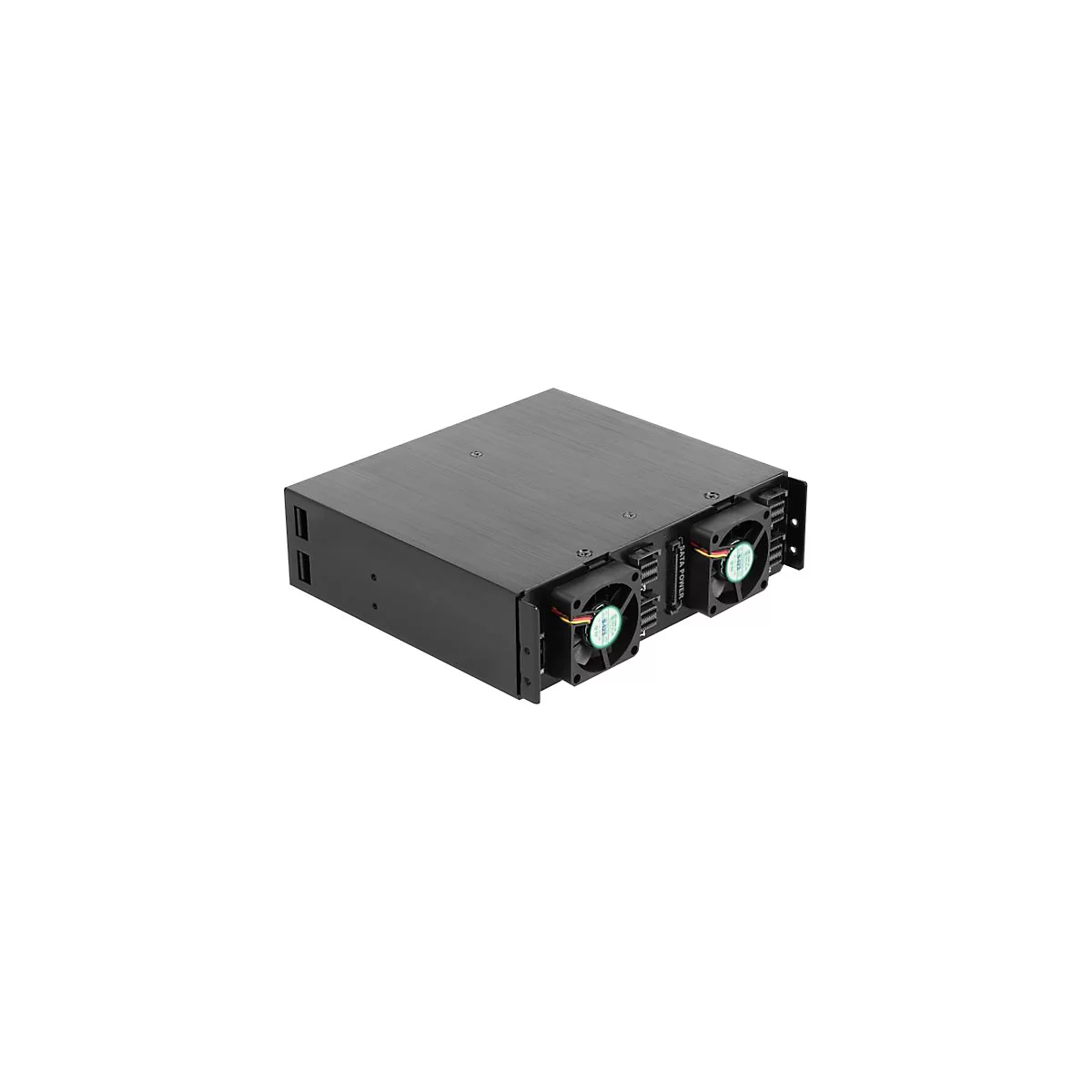 Delock - Mobiles Speicher-Rack - 2.5' (6.4 cm)