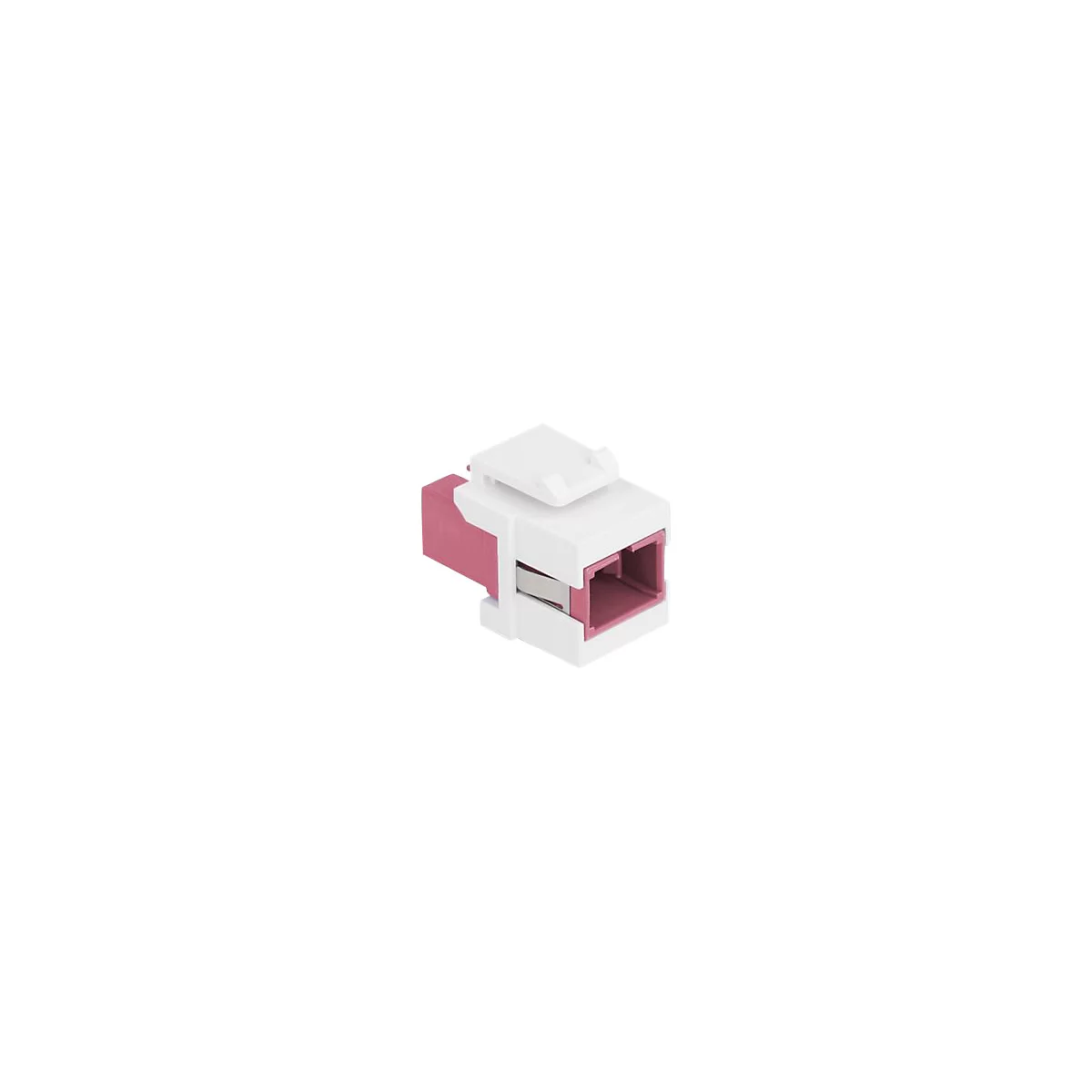 Ein weißes Keystone-Modul mit einem pinkfarbenen Einsatz vor weißem Hintergrund.