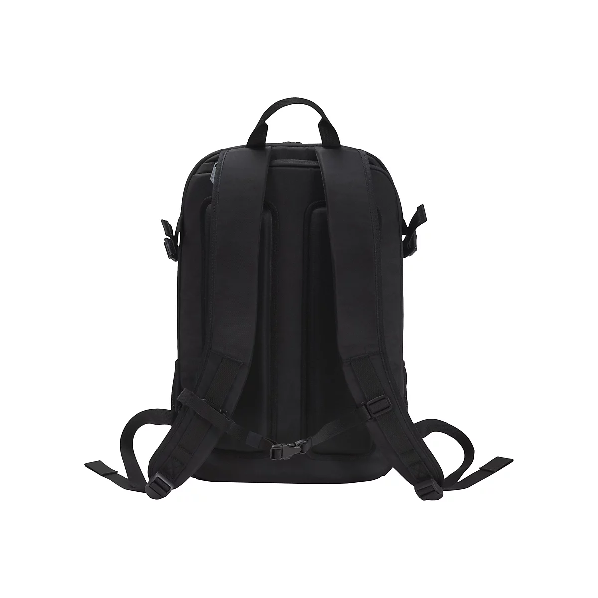 Schwarzer Rucksack von hinten, TrÃ¤ger und RÃ¼cken gepolstert, mit Trageschlaufe und verstellbaren Gurten.