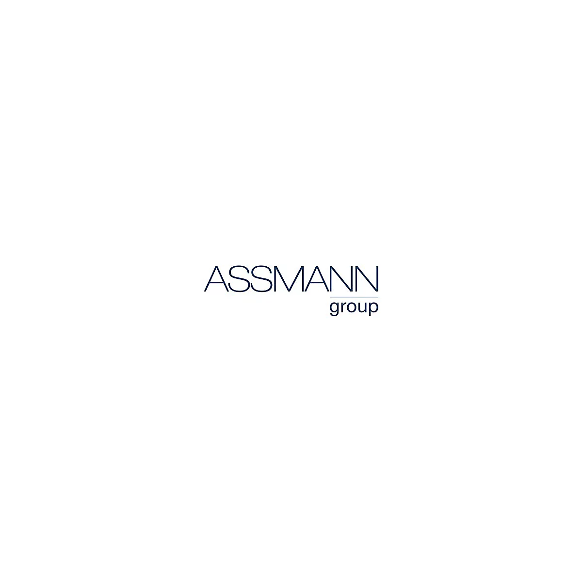 Blaues Logo der ASSMANN group. Schriftzug in blauer Schrift auf weißem Hintergrund.