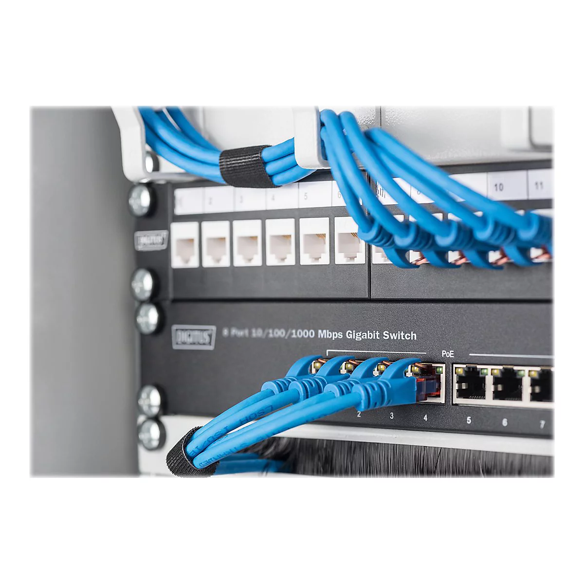 Nahaufnahme eines Netzwerkschalters mit blauen Ethernet-Kabeln. Beschriftung: 8 Port 10/100/1000 Mbps Gigabit Switch.