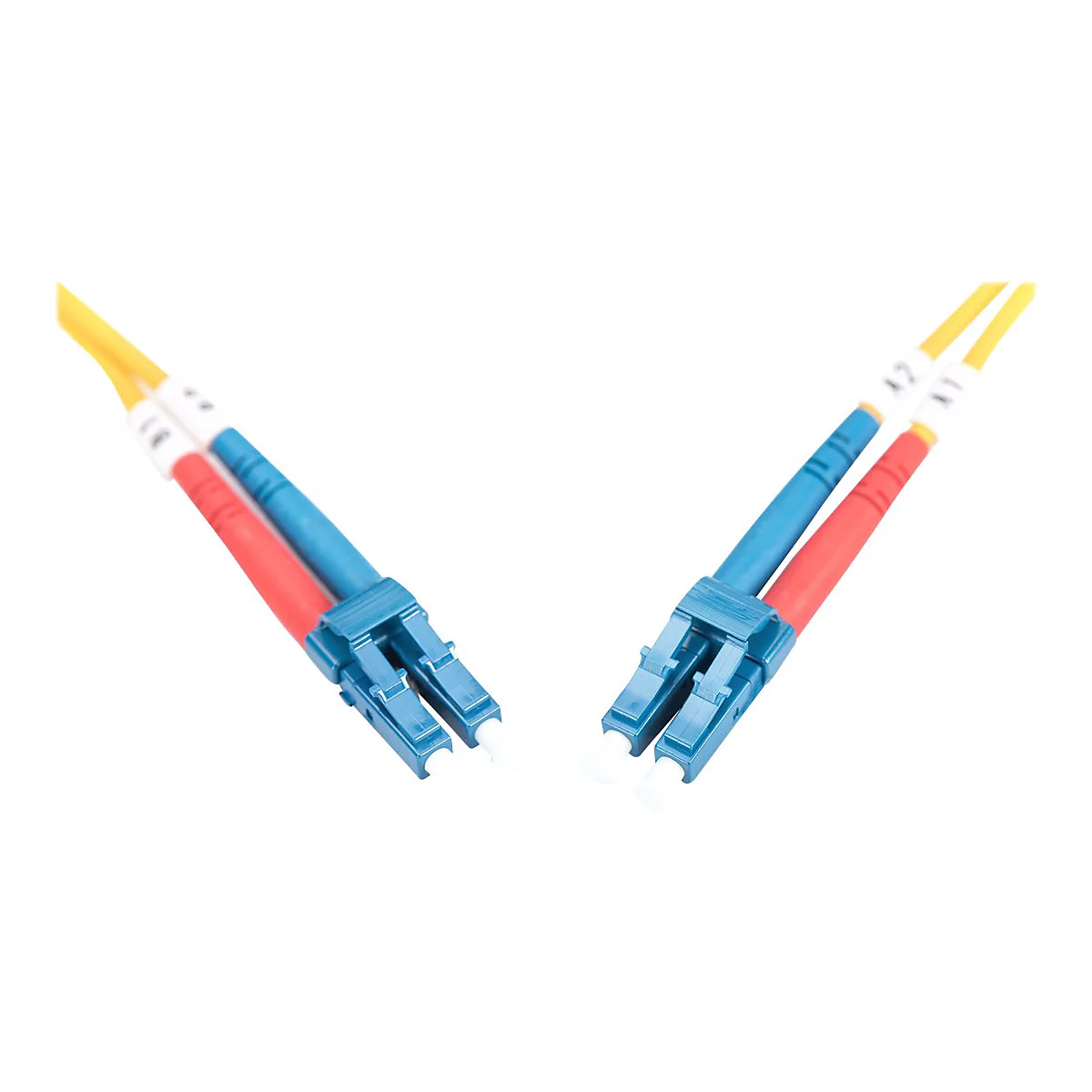 Zwei blaue und rote Glasfaserkabel mit blauen Steckern, die auf weißem Hintergrund liegen.