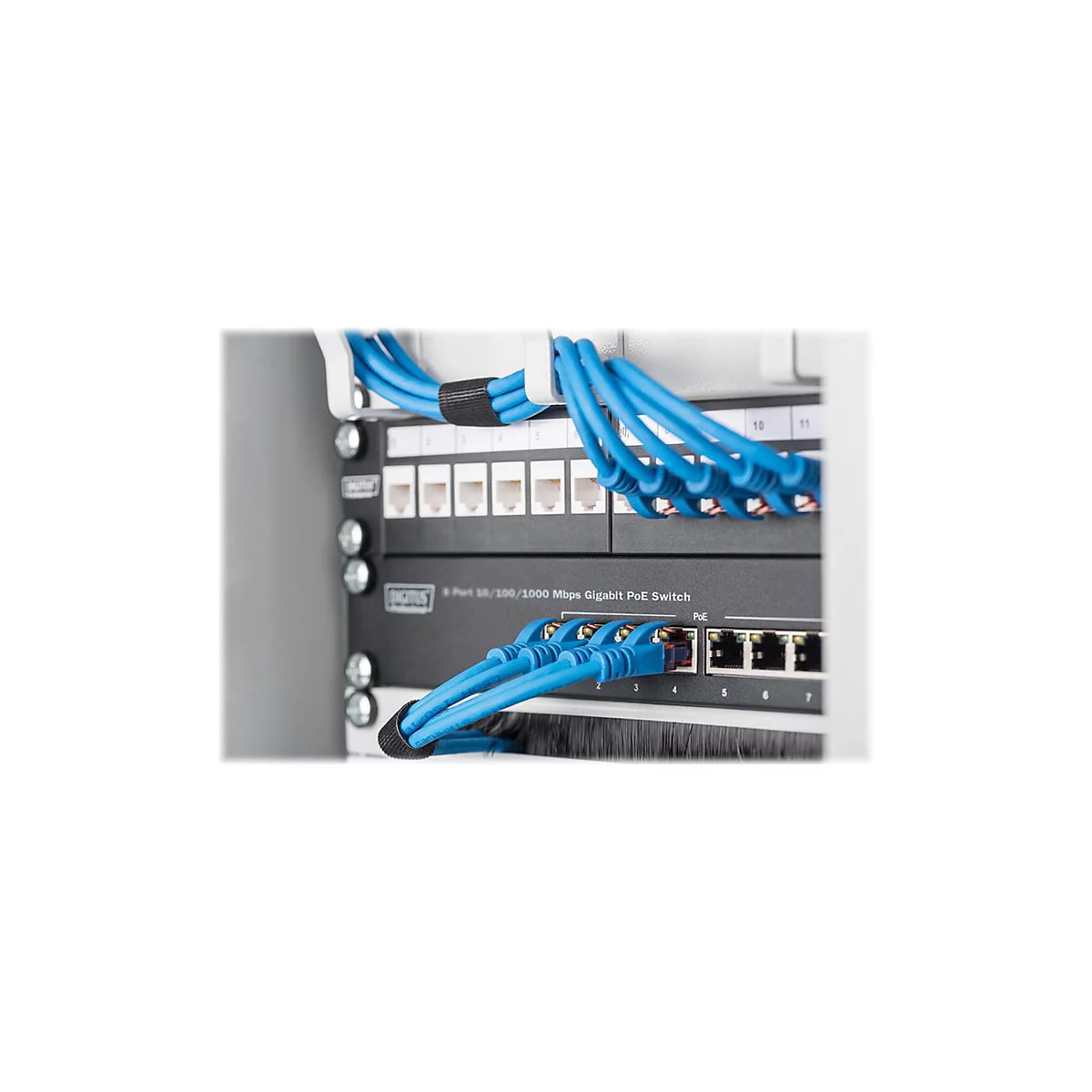 Blaue Netzwerkkabel sind mit einem Switch verbunden. Es handelt sich um eine Nahaufnahme einer Server-Rack-Einheit.