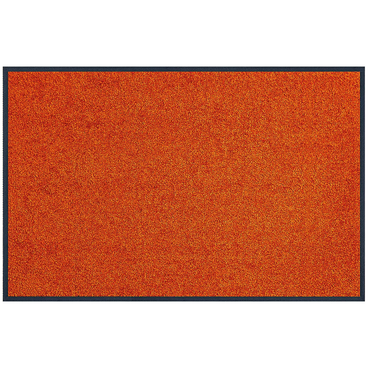 Orange carpet with dark blue border.
