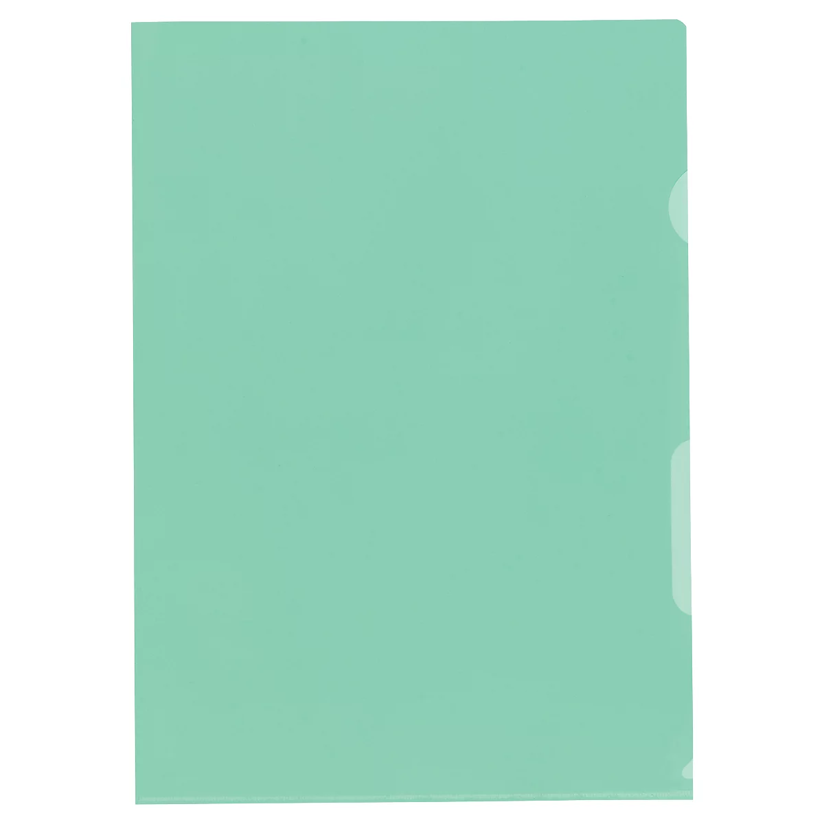 Dossier CopyResistant Lisse SuperStrong, Visa, format A4, indélébile, très résistant, 100 p., vert