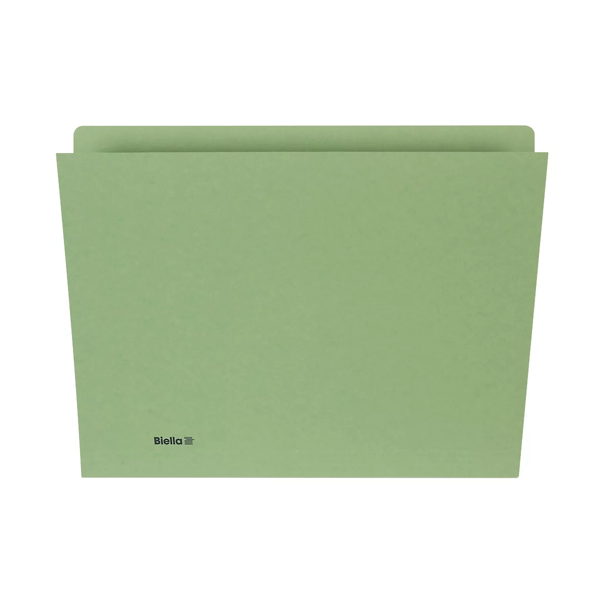 Dossier vertical Biella, pour DIN A4, L 330 x l 265 x H 1 mm, carton, vert