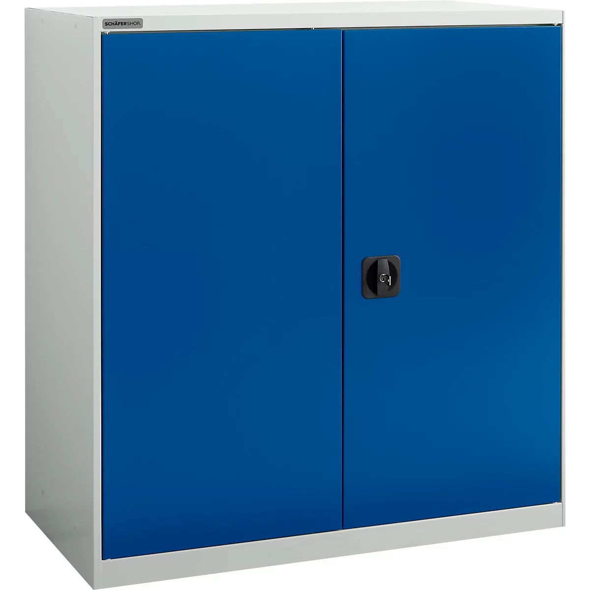 Draaideurkast Schäfer Shop Select MS-i 12409, plaatstaal, B 950 x D 400 x H 1215 mm, 3 OH, lichtgrijs/gentiaanblauw, tot 150 kg 