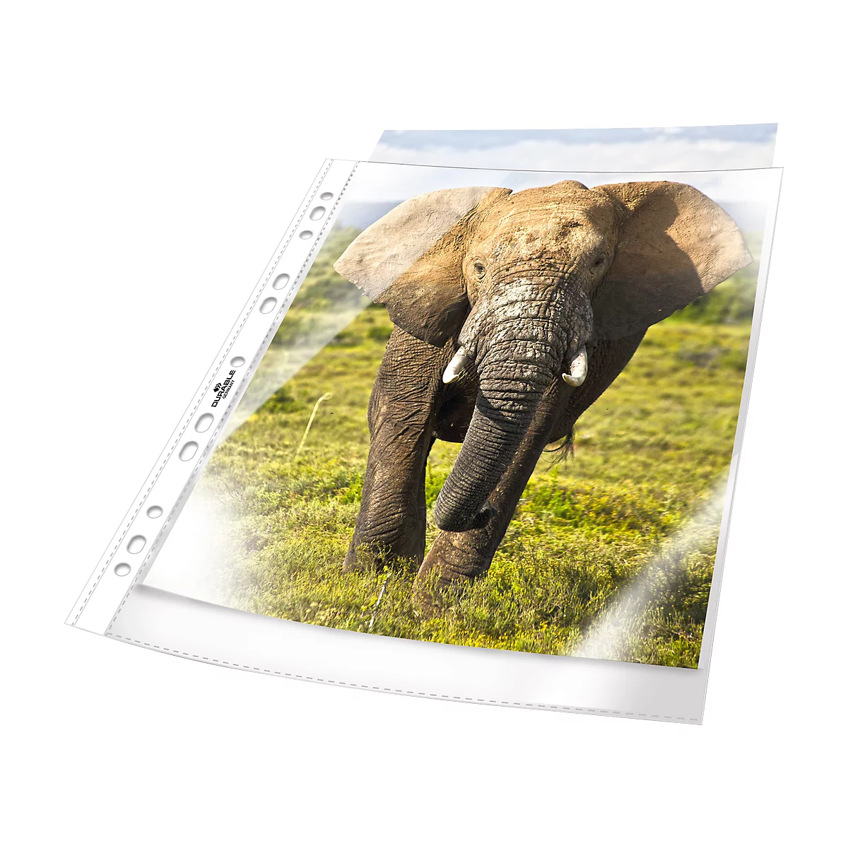 DURABLE insteekhoesje Business, A4, bovenaan open, 100 stuks, generfd, transparant