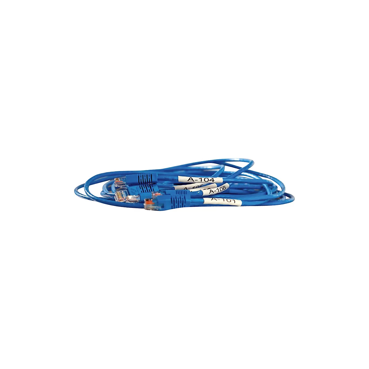 Aufgerolltes blaues Netzwerkkabel mit RJ45-Steckern und beschrifteten Etiketten, vor weißem Hintergrund.