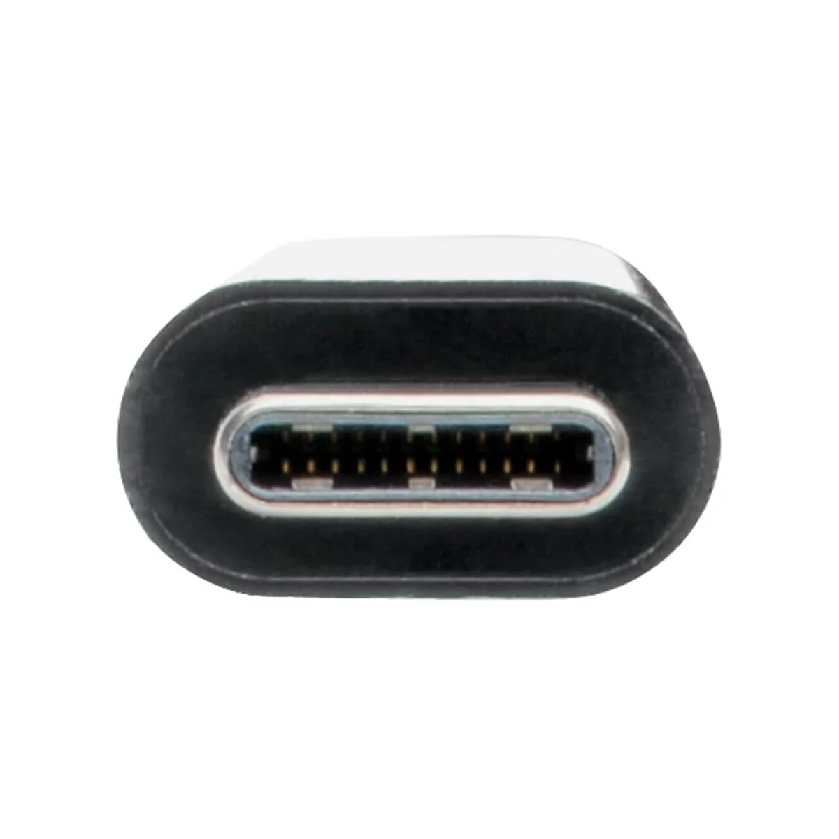 Nahaufnahme eines USB-C-Anschlusses. Schwarzes Oval mit silbernem Innenbereich, goldenen Pins.