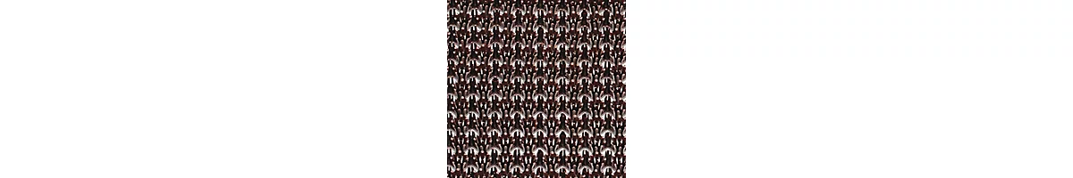 EAZYCARE TURF alfombra atrapa suciedad, de polietileno, para uso interior y exterior, 570 x 860 mm, marrón