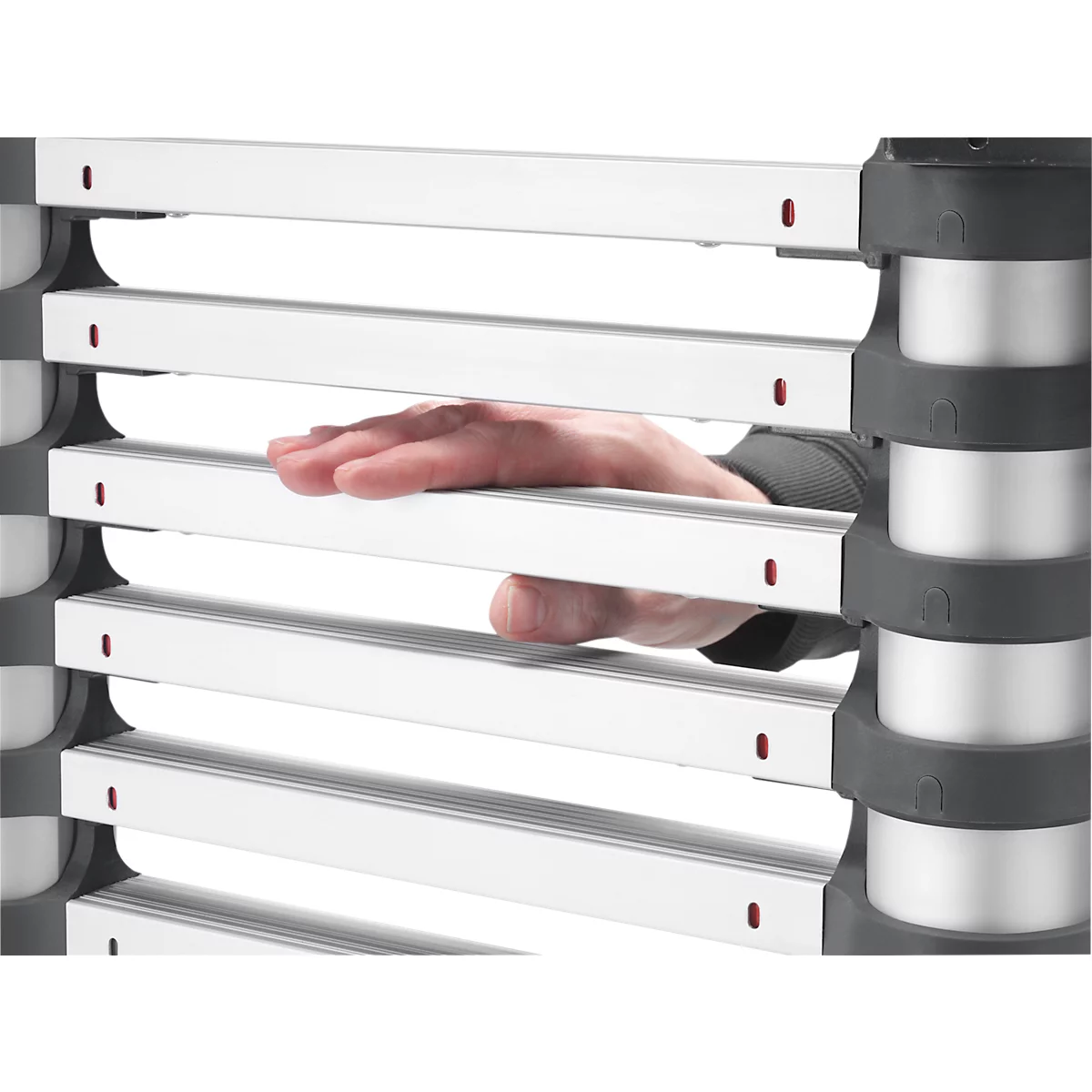 Échelle télescopique FlexLine Hailo, EN 131-6, hauteur ajustable, déverrouillable avec une seule main, jusqu'à 150 kg, diff. variantes