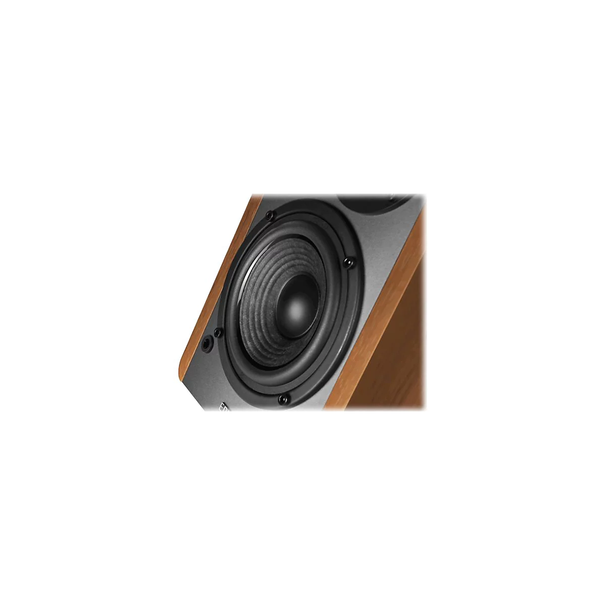 Nahaufnahme eines Lautsprechers mit dunkler Membran und Holzgehäuse.