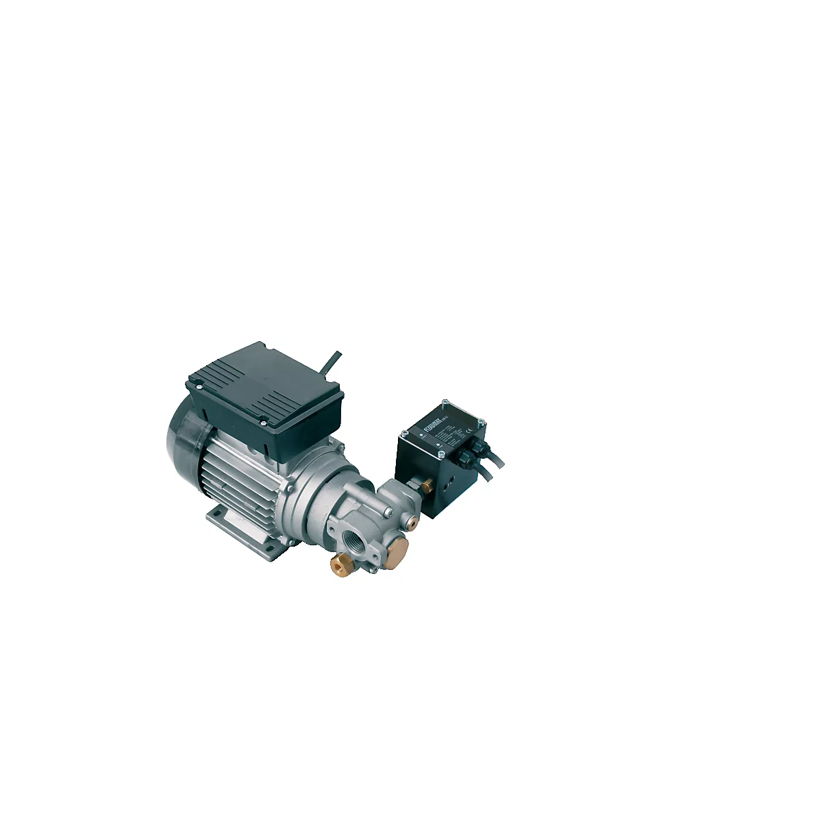 Elektropumpe CEMO Visco-Flowmat 200/2, 230V, 800 W, 9 l/min, für Schmierstoffe, mit Druckschalter, Anschluss beidseitig 1' IG