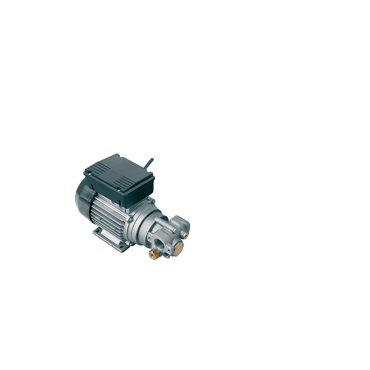 Elektropumpe CEMO Viscomat 200/2, 230V, 800 W, 9 l/min, Anschluss beidseitig 1' IG