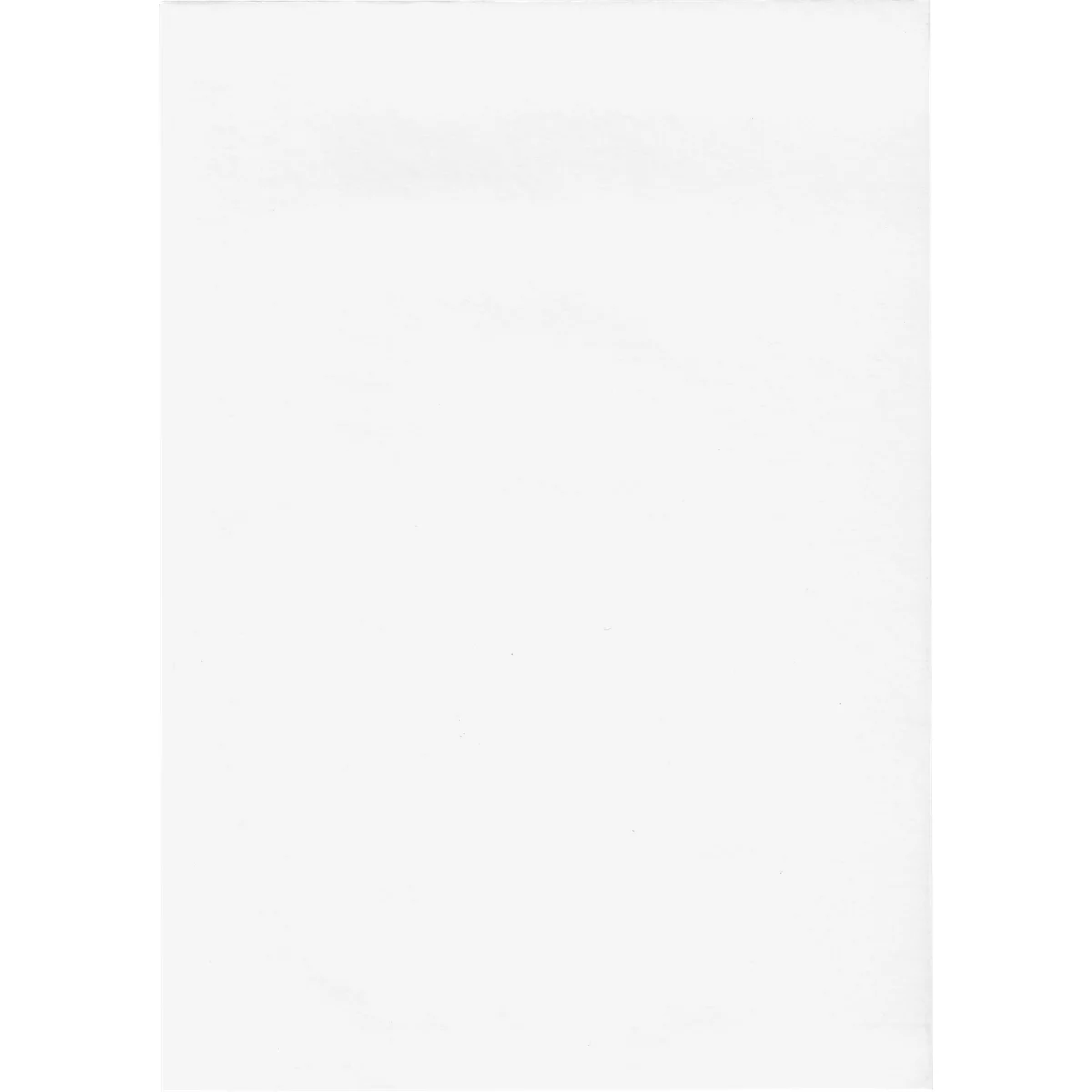 White rectangle on a white background. Empty space.