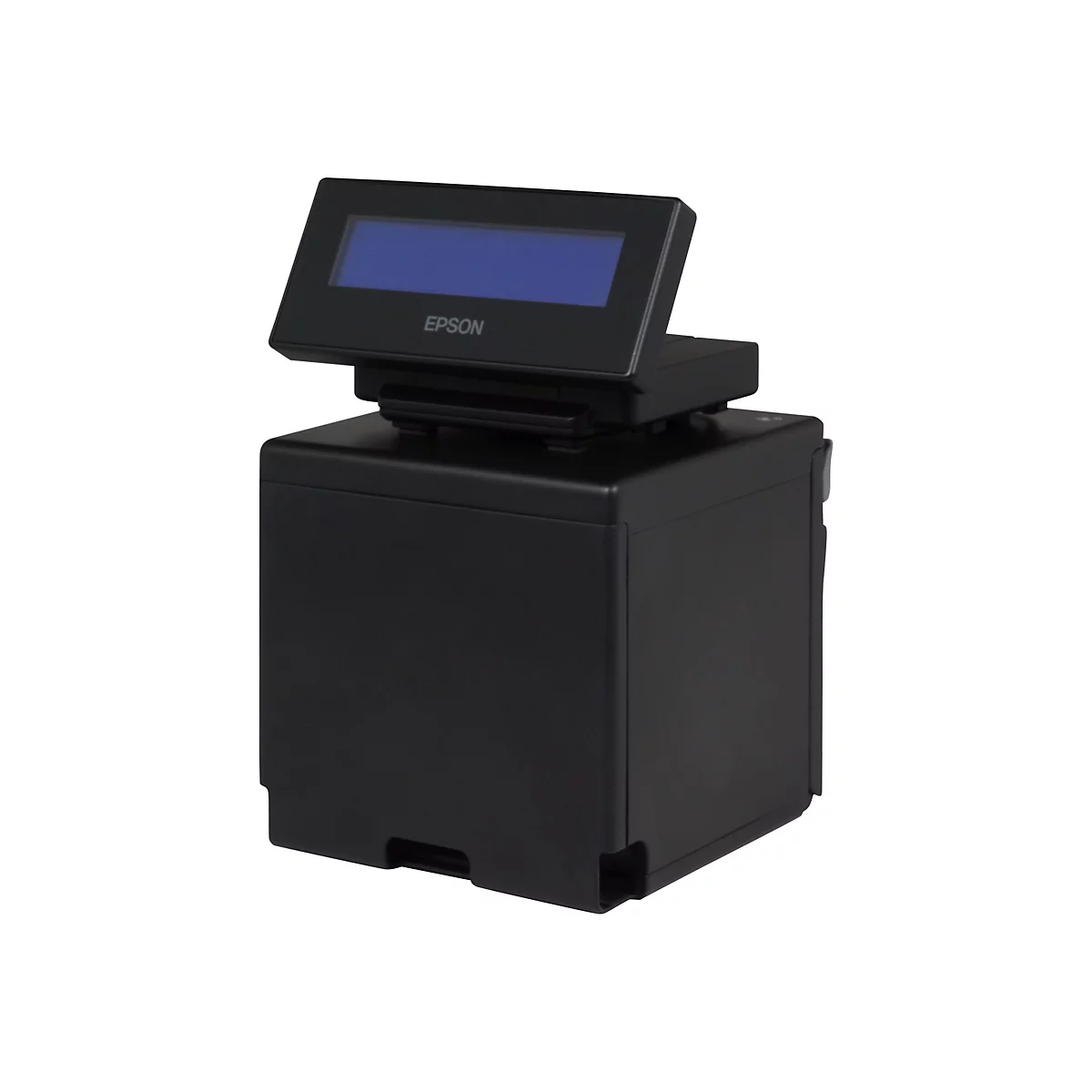 Epson DM-D30 (111) - Kundenanzeige - USB - Schwarz - USB