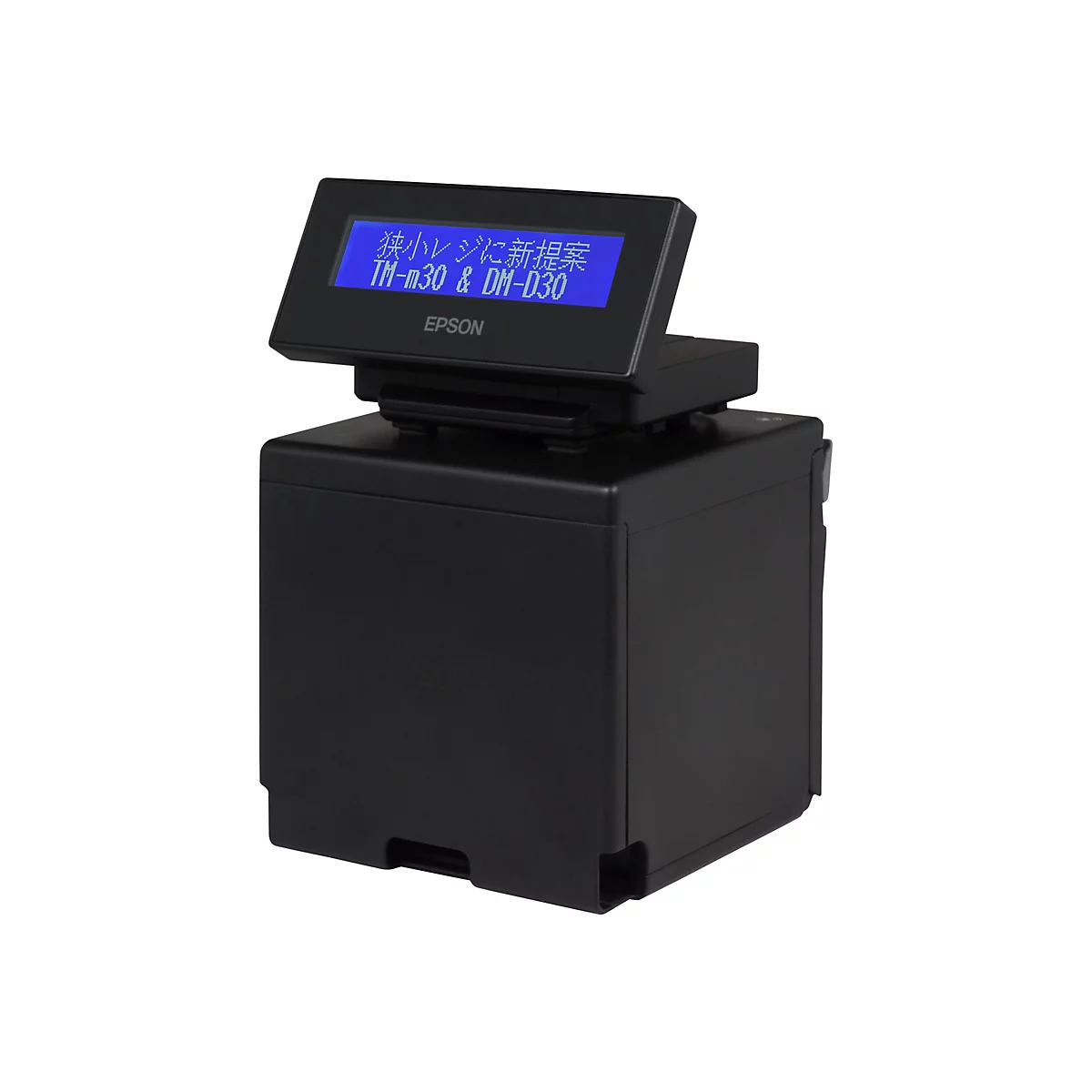 Epson DM-D30 (111) - Kundenanzeige - USB - Schwarz - USB