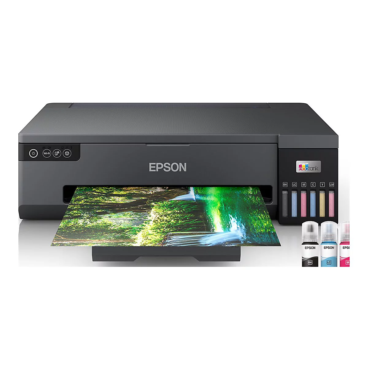 Drucker der Marke Epson. Gedrucktes Landschaftsbild, Tintenbehälter und separate Tintenflaschen.