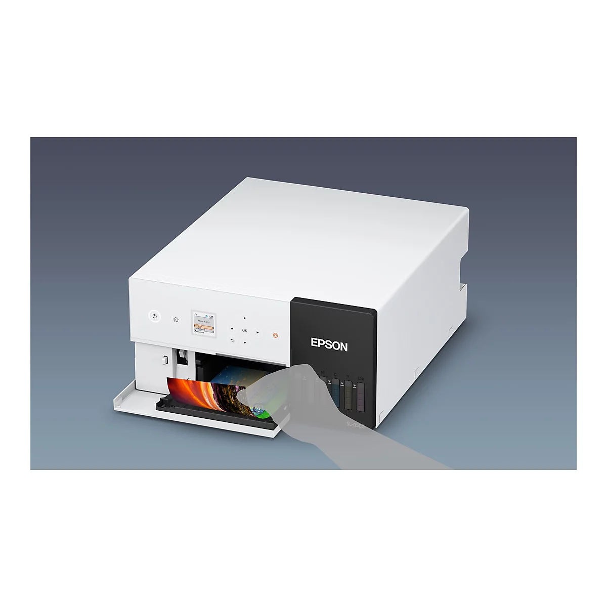 Epson SURELAB SL-D500 - Drucker - Farbe - piezoelektrischer Tintendrucker - CISS - 100 x 150 mm