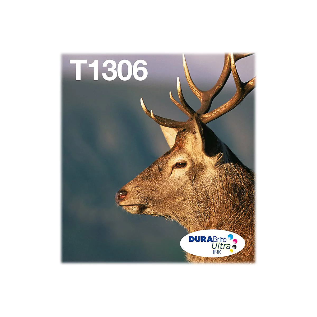 Epson T1306 Multipack Easy Mail Packaging - 3er-Pack - Gelb, Cyan, Magenta - original - Tintenpatrone