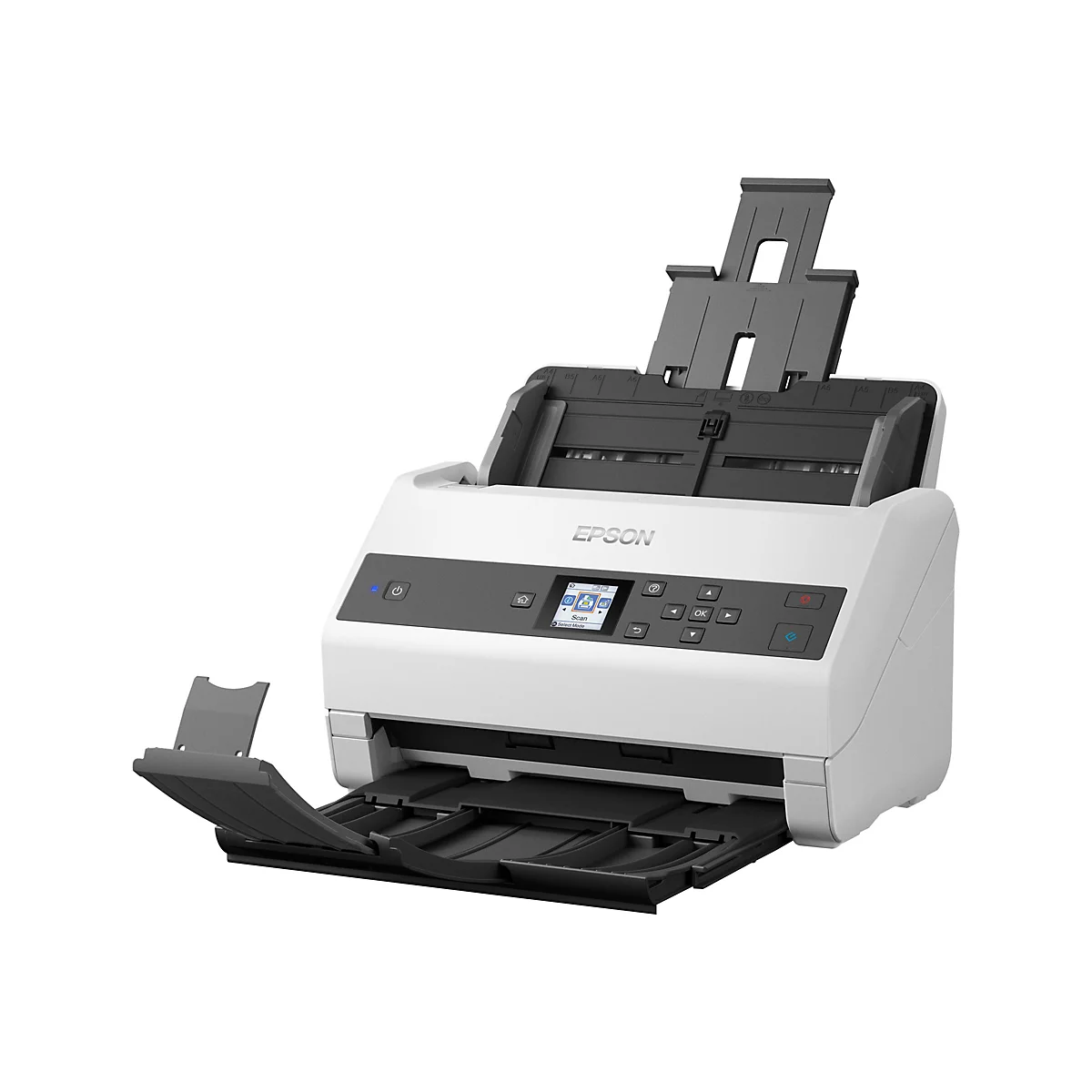Ein weißer Epson-Scanner mit geöffnetem Einzug und Ablage. Auf dem Bedienfeld befinden sich Tasten und ein Display.