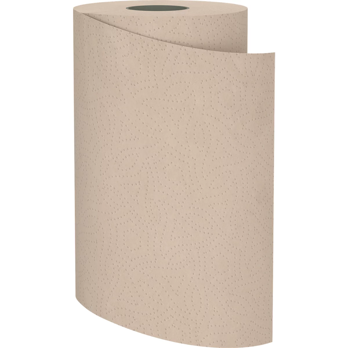 Rouleau d'essuie-mains beiges. Vue détaillée de la surface structurée avec de petits points.