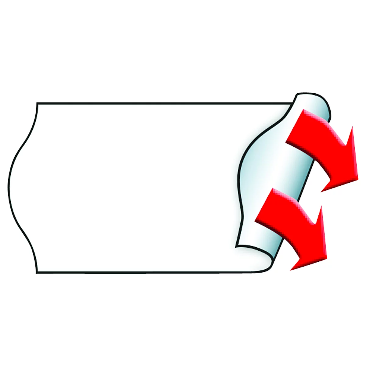 Esquisse d'une feuille déroulée avec des flèches rouges indiquant la direction.