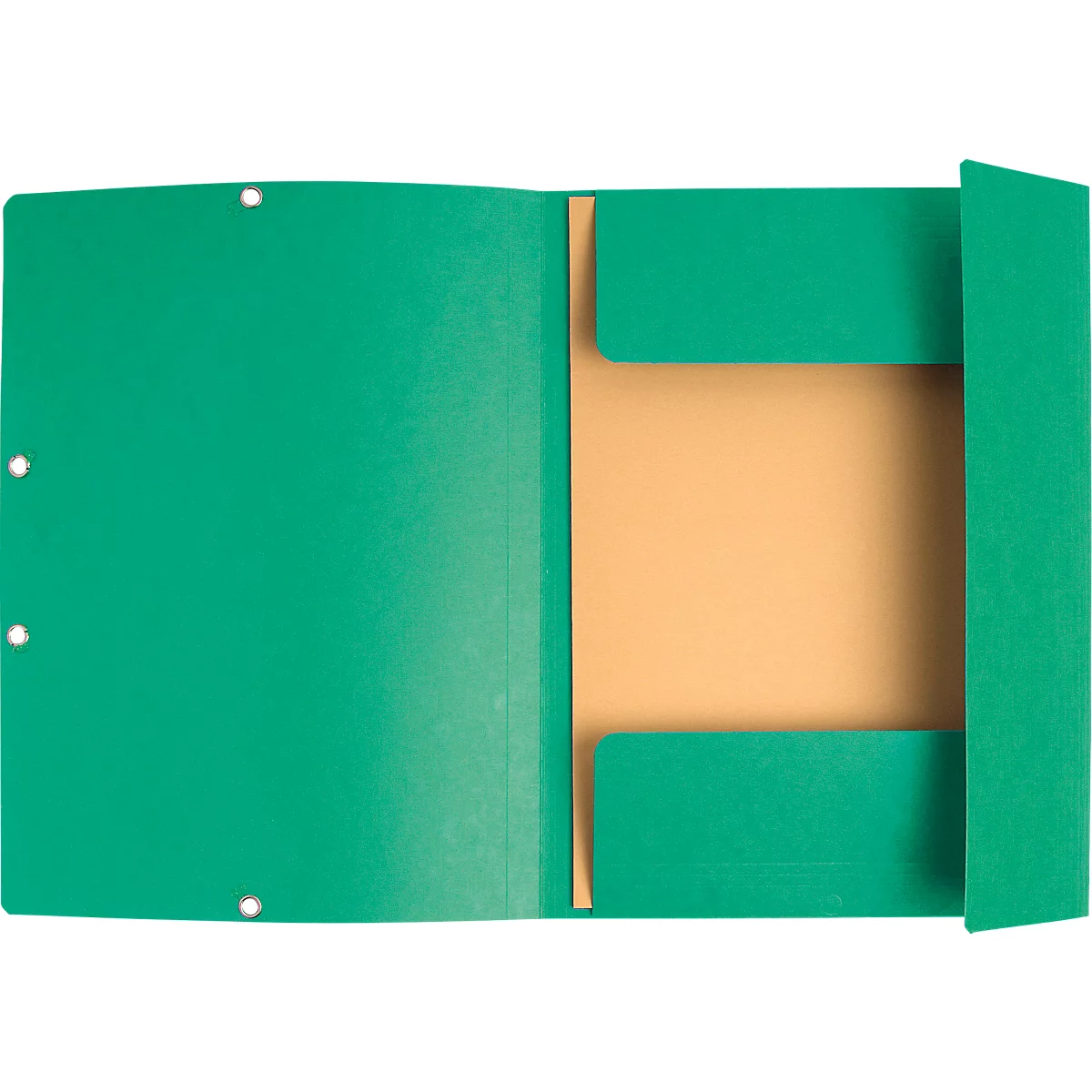 Exacompta classeur, DIN A4, avec élastique, 3 rabats, inscriptible, carton Colorspan, 355 g/m², vert