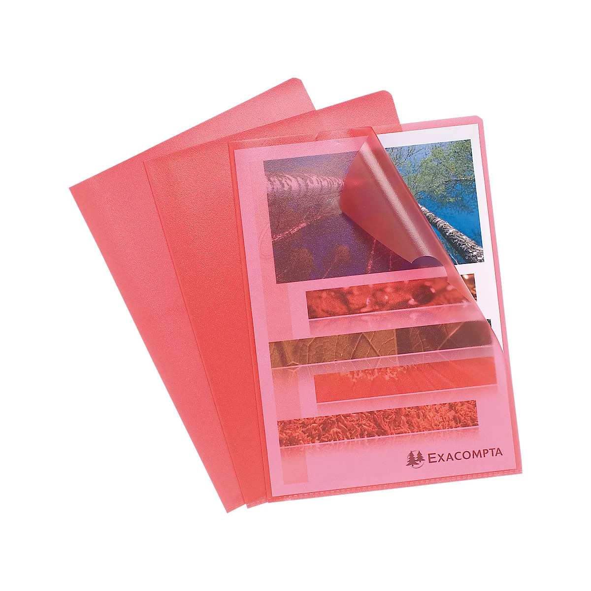 Exacompta documenthouder, DIN A4, gekorreld, 100 stuks, rood