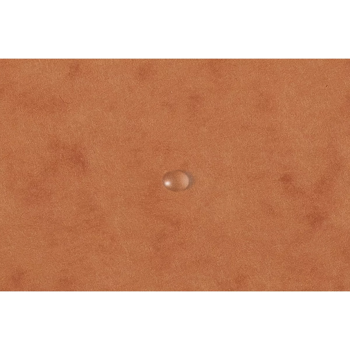 Exacompta dossier de coin, DIN A4, avec élastique, inscriptible, carton Colorspan, 355 g/m², tabac