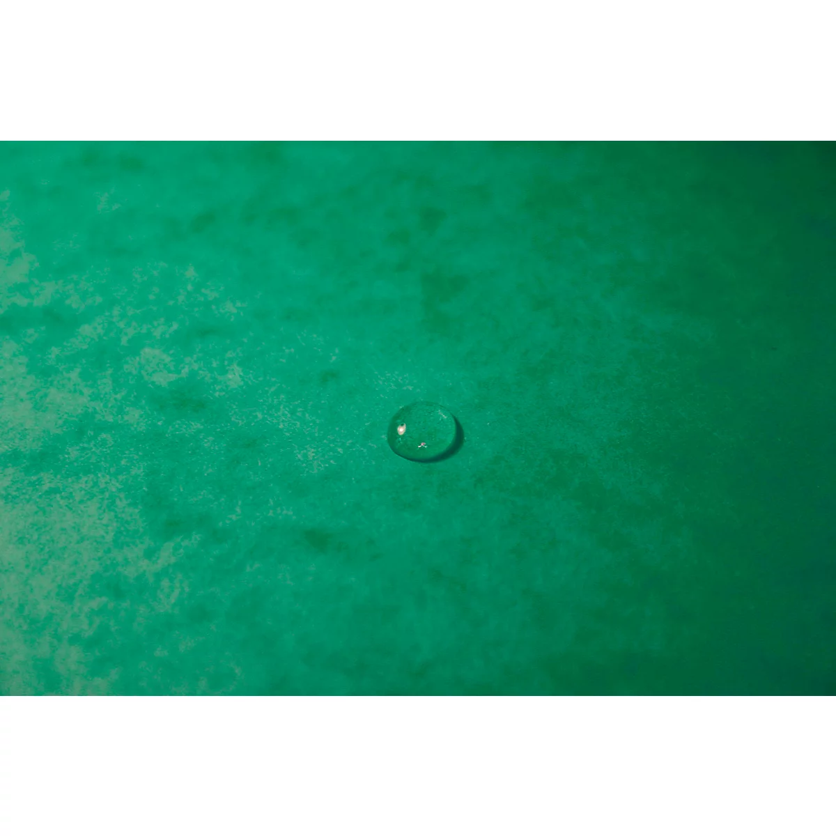 Exacompta dossier de coin, DIN A4, avec élastique, inscriptible, carton Colorspan, 355 g/m², vert