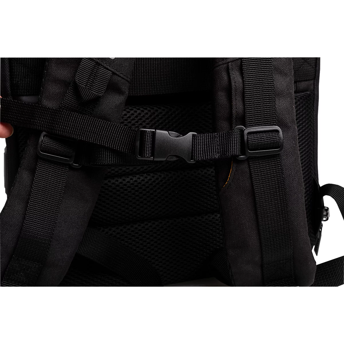 Detailaufnahme des Rückenteils eines schwarzen Rucksacks, mit schwarzen Gurten, einem Schnallenverschluss und gepolstertem Rückenbereich.