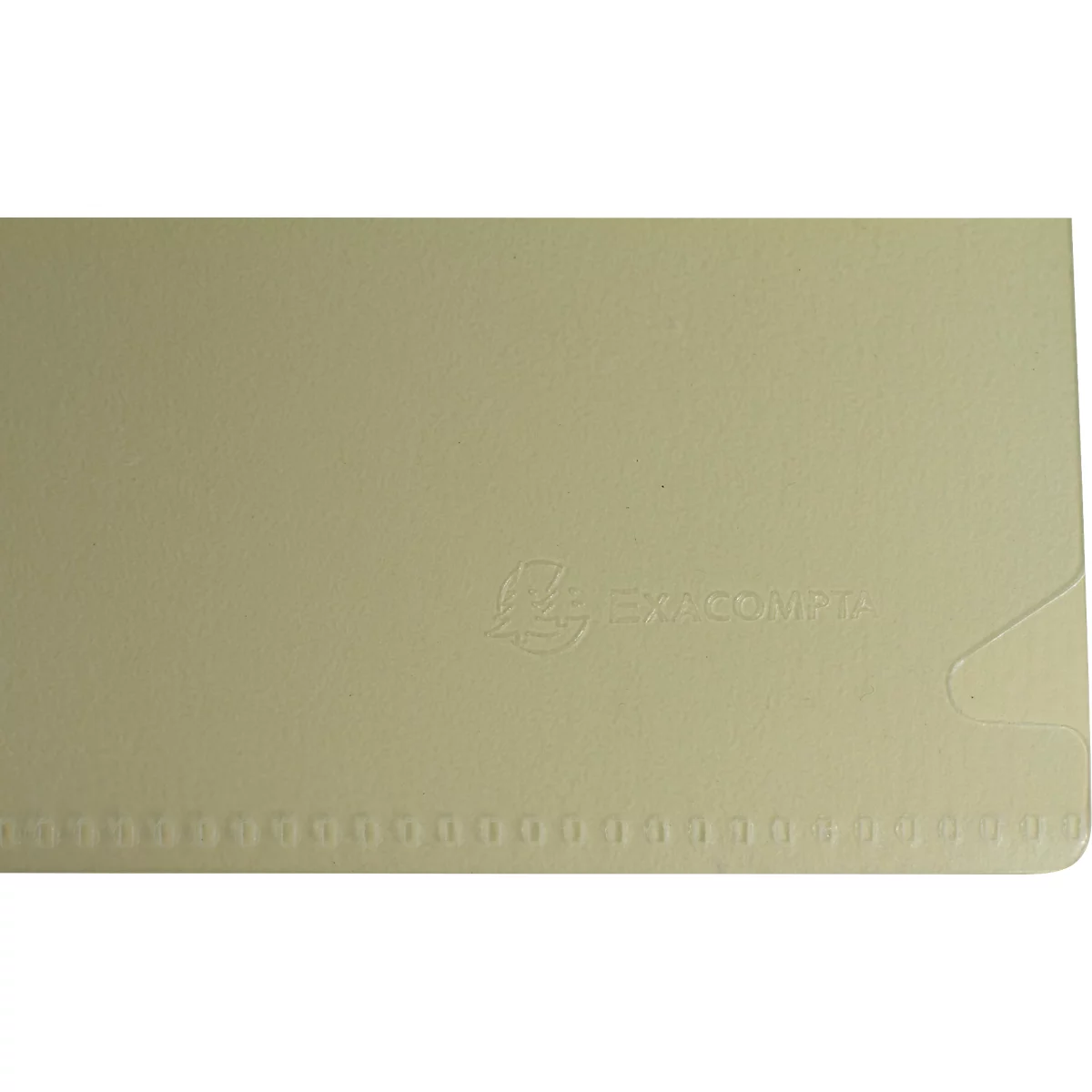 Exacompta Forever hoezen, voor DIN A4, gerecycled polypropeen, 120µ, gekorreld, transparant, 100 stuks