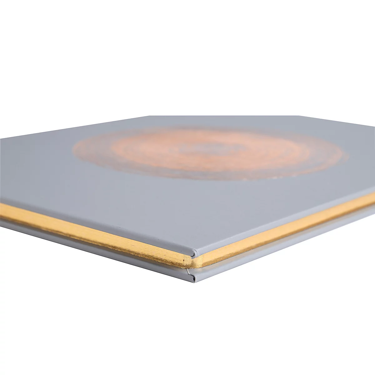 Exacompta Gästebuch Ellipse Grün-Grau 22x27 cm, 100 Seiten Clairefontaine, Goldschnitt, Kristallbox