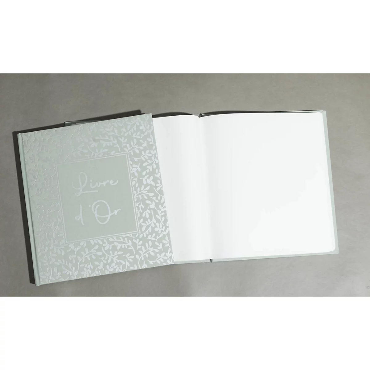 Lichtblauw boek met zilveren patroon en "Livre d'Or" op de kaft, open pagina's tonen leeg papier.