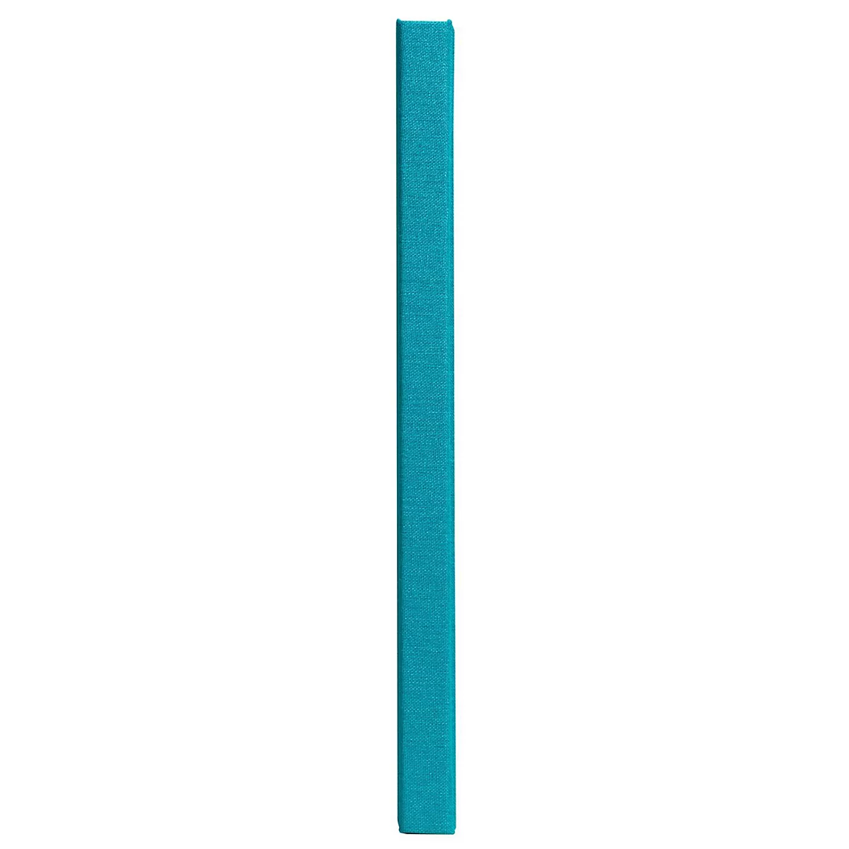 Een verticaal, turkooisblauwe staaf tegen een witte achtergrond.