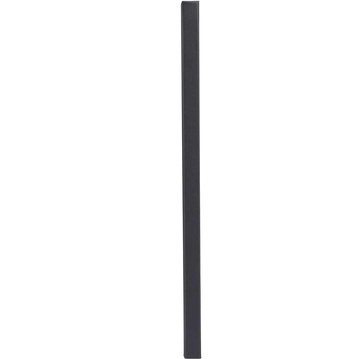 Une tige grise et étroite sur fond blanc. La forme est rectangulaire et verticale.