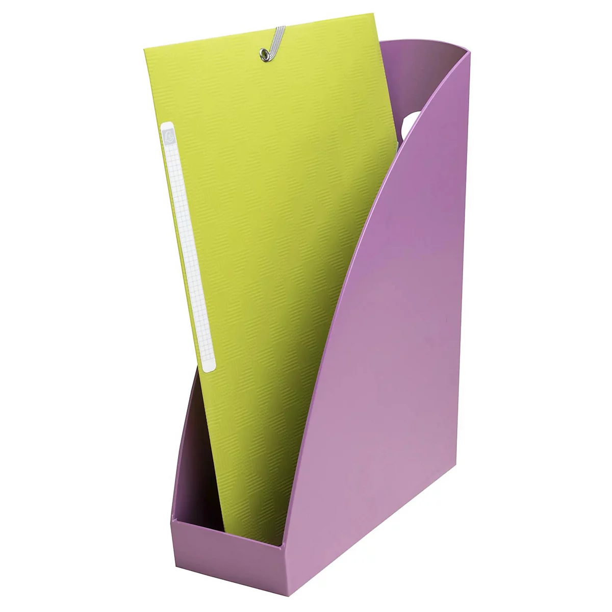 Lila Zeitschriftenständer mit grünen Akten, auf weißem Hintergrund.