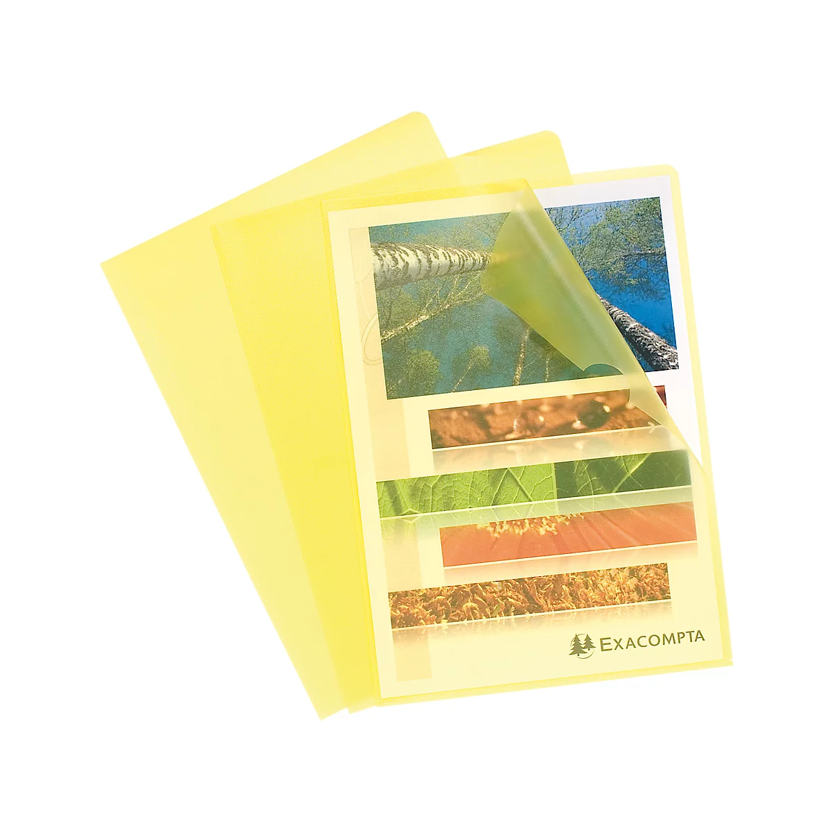 Exacompta Pochette transparente, DIN A4, grainée, 100 pièces, jaune