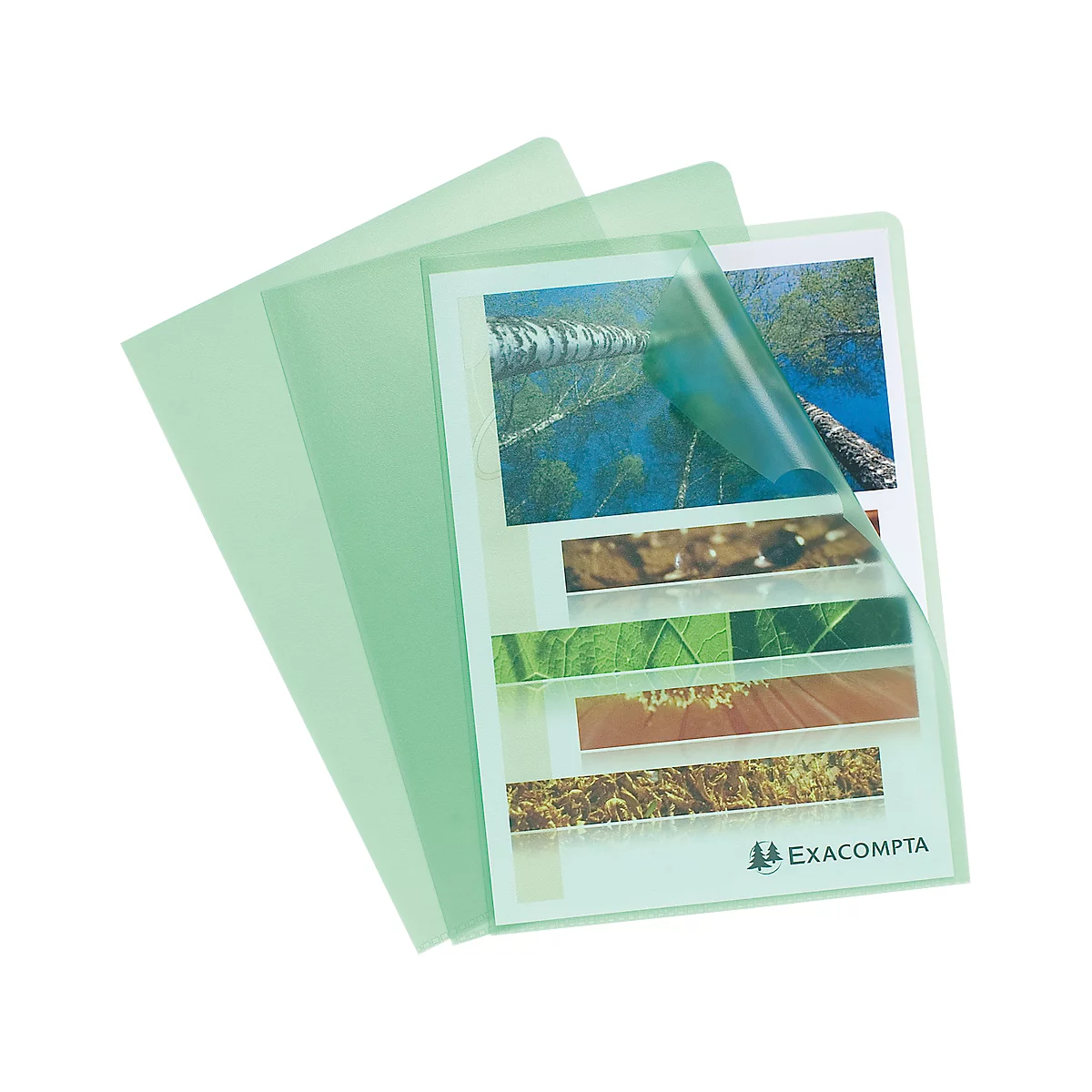 Exacompta Pochette transparente, DIN A4, grainée, 100 pièces, vert