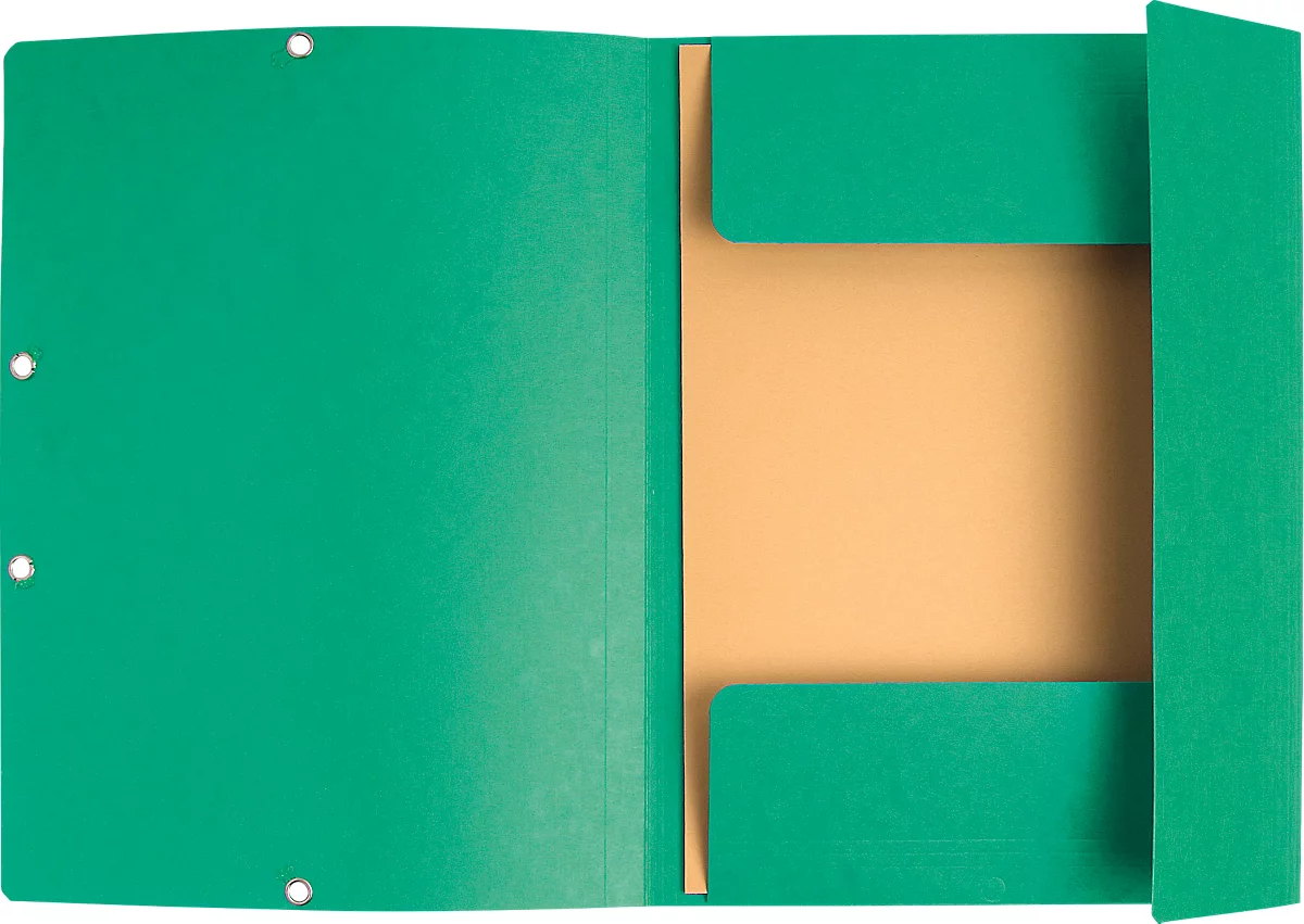 Exacompta Sammelmappe, DIN A4, mit Gummizug, 3 Klappen, beschriftbar, Colorspan-Karton, 355 g/m², grün