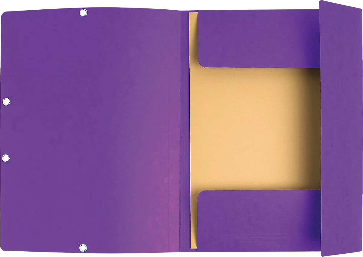 Exacompta Sammelmappe, DIN A4, mit Gummizug, 3 Klappen, beschriftbar, Colorspan-Karton, 355 g/m², violett